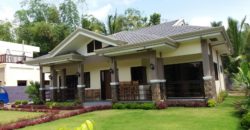 NEW CONSTRUCTION HOUSE AND LOT IN BACONG  – S O L D –