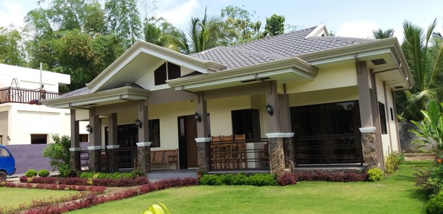 NEW CONSTRUCTION HOUSE AND LOT IN BACONG  – S O L D –