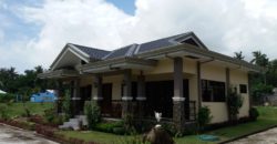 NEW CONSTRUCTION HOUSE AND LOT IN BACONG  – S O L D –