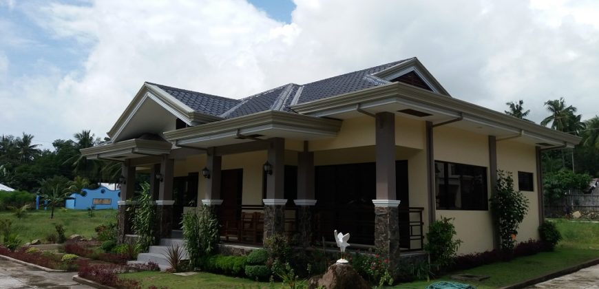 NEW CONSTRUCTION HOUSE AND LOT IN BACONG  – S O L D –