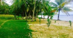 BEACH PROPERTY FOR SALE IN SIQUIJOR