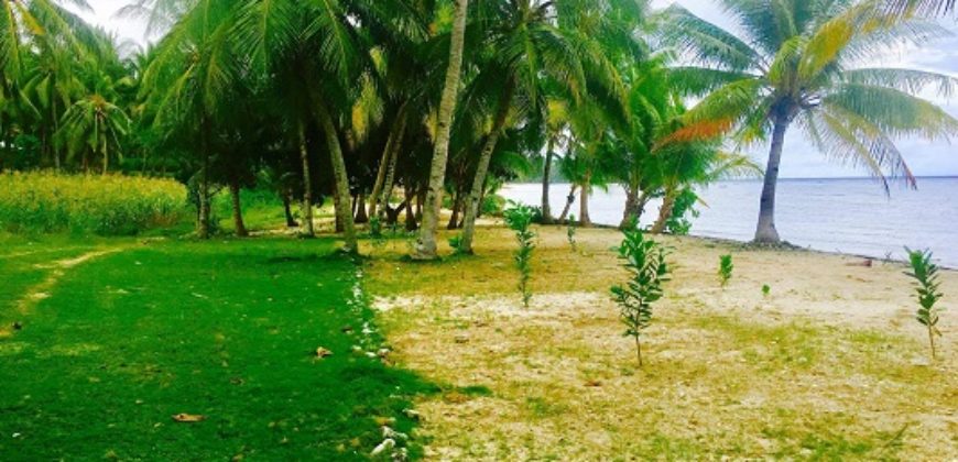 BEACH PROPERTY FOR SALE IN SIQUIJOR