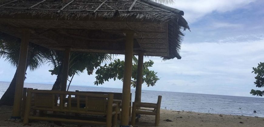 BEACH PROPERTY FOR SALE IN SIQUIJOR