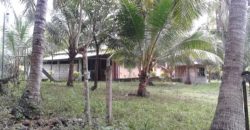 Dauin 3BR/2Bath Rental House