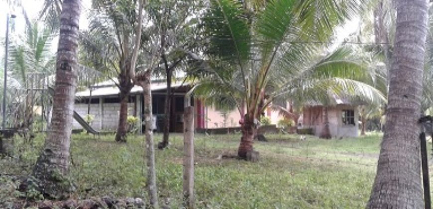 Dauin 3BR/2Bath Rental House