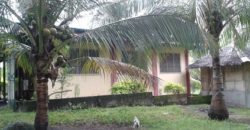 Dauin 3BR/2Bath Rental House