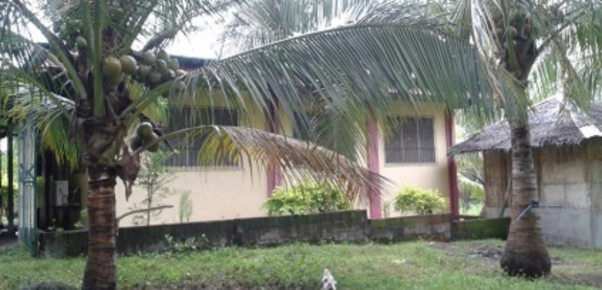 Dauin 3BR/2Bath Rental House