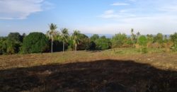 OCEAN VIEW LOT FOR SALE