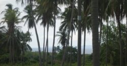 OCEAN VIEW LOT IN DAUIN