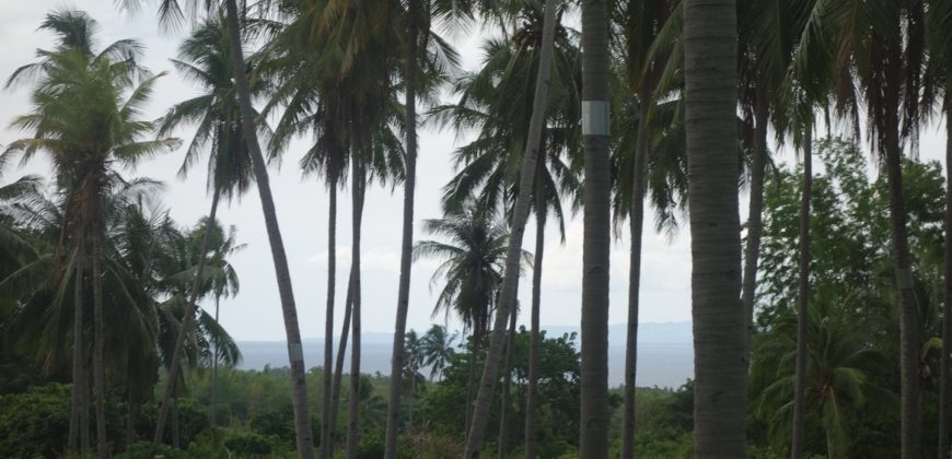 OCEAN VIEW LOT IN DAUIN