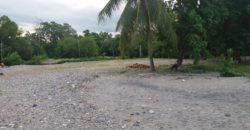 IDEAL BEACH LOT FOR A RESORT  – S O L D –