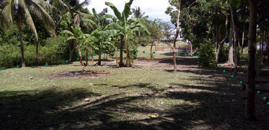 Ocean View Lot-Owner Financing for qualified buyers-Southern Cebu