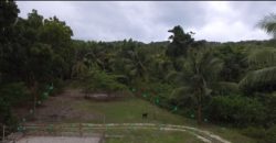 Ocean View Lot-Owner Financing for qualified buyers-Southern Cebu