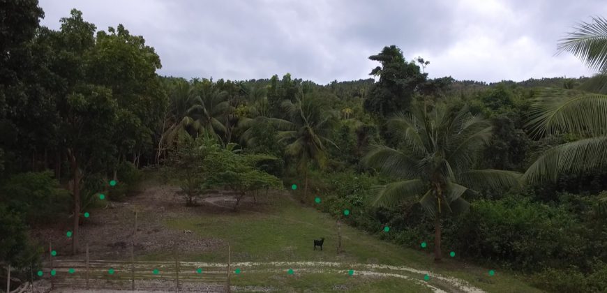 Ocean View Lot-Owner Financing for qualified buyers-Southern Cebu