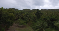 Ocean View Lot-Owner Financing for qualified buyers-Southern Cebu