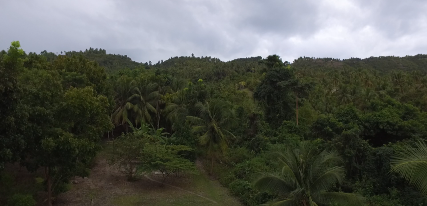 Ocean View Lot-Owner Financing for qualified buyers-Southern Cebu