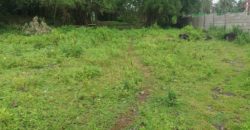 BUILDING LOT FOR SALE IN DAUIN   – S O L D –