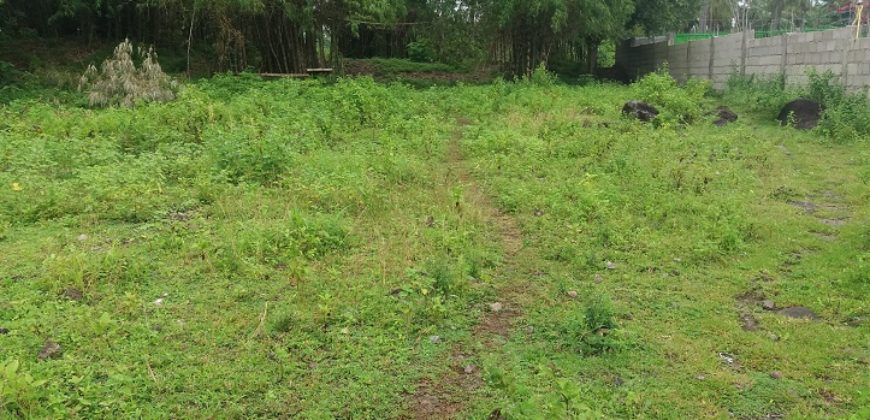 BUILDING LOT FOR SALE IN DAUIN   – S O L D –