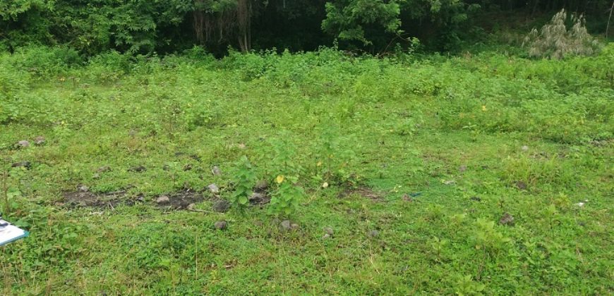 BUILDING LOT FOR SALE IN DAUIN   – S O L D –