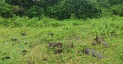 BUILDING LOT FOR SALE IN DAUIN   – S O L D –