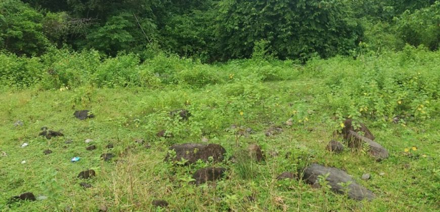 BUILDING LOT FOR SALE IN DAUIN   – S O L D –