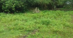 BUILDING LOT FOR SALE IN DAUIN   – S O L D –