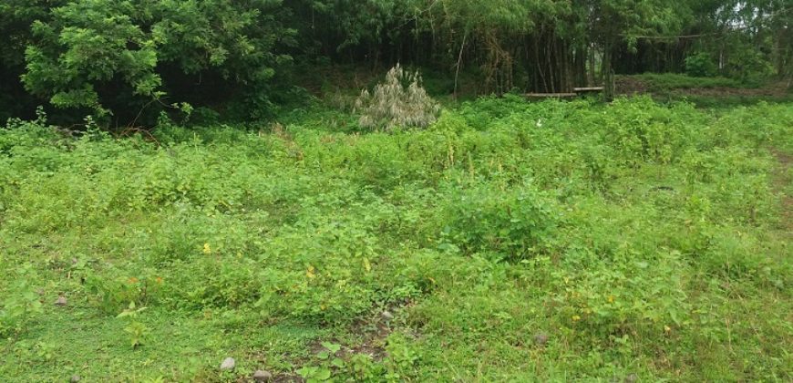 BUILDING LOT FOR SALE IN DAUIN   – S O L D –