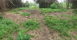 BUILDING LOT FOR SALE IN DAUIN   – S O L D –