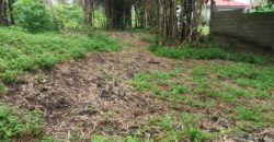 BUILDING LOT FOR SALE IN DAUIN   – S O L D –