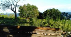 OCEAN VIEW LOT IN ZAMBOANGUITA