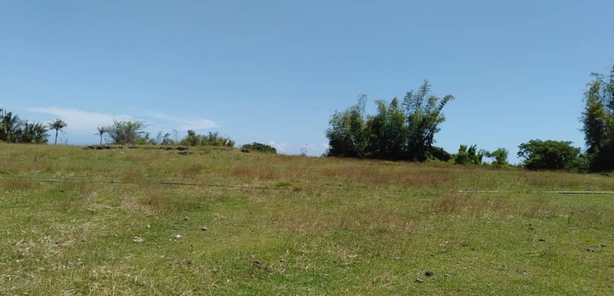 OCEAN VIEW LOT IN ZAMBOANGUITA  – S O L D –