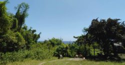 OCEAN VIEW LOT IN ZAMBOANGUITA  – S O L D –