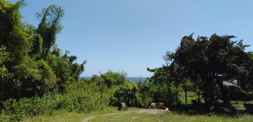 OCEAN VIEW LOT IN ZAMBOANGUITA  – S O L D –