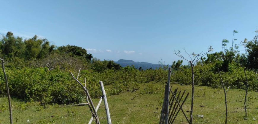 OCEAN VIEW LOT IN ZAMBOANGUITA  – S O L D –