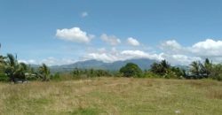 OCEAN VIEW LOT IN ZAMBOANGUITA  – S O L D –