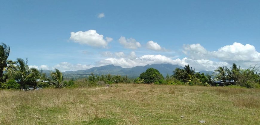 OCEAN VIEW LOT IN ZAMBOANGUITA  – S O L D –