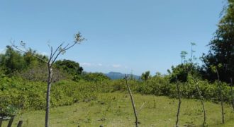 OCEAN VIEW LOT IN ZAMBOANGUITA  – S O L D –