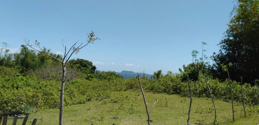 OCEAN VIEW LOT IN ZAMBOANGUITA  – S O L D –