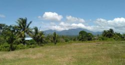 OCEAN VIEW LOT IN ZAMBOANGUITA  – S O L D –