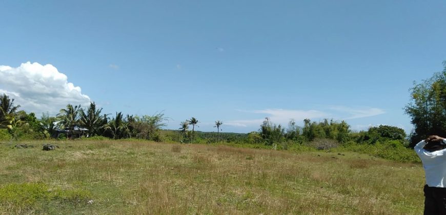 OCEAN VIEW LOT IN ZAMBOANGUITA  – S O L D –