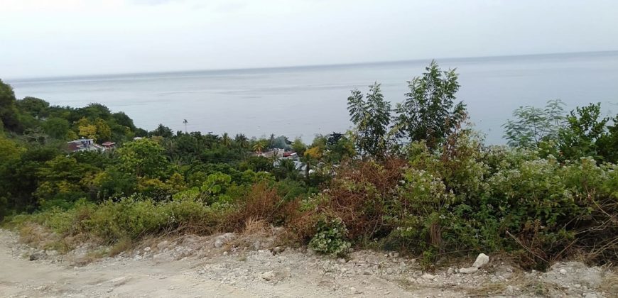 OCEAN VIEW LOT FOR SALE IN CEBU