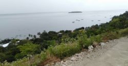 OCEAN VIEW LOT FOR SALE IN CEBU