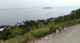 OCEAN VIEW LOT FOR SALE IN CEBU