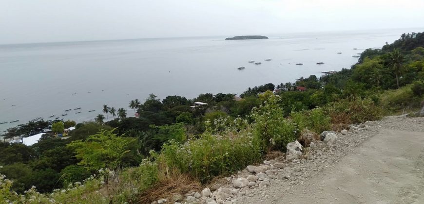 OCEAN VIEW LOT FOR SALE IN CEBU