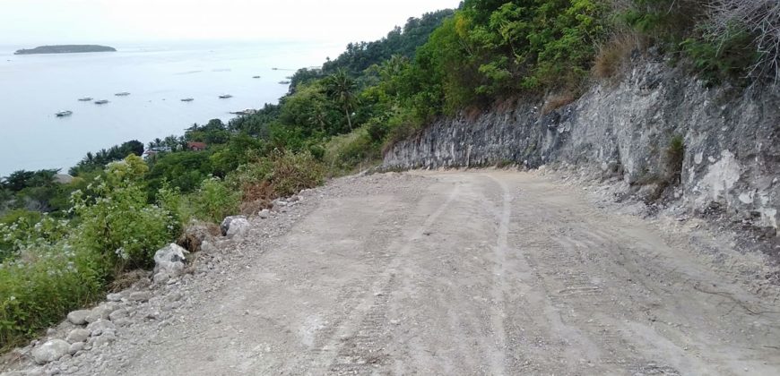 OCEAN VIEW LOT FOR SALE IN CEBU