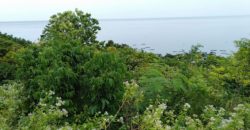 OCEAN VIEW LOT FOR SALE IN CEBU