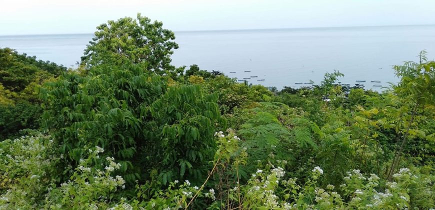 OCEAN VIEW LOT FOR SALE IN CEBU