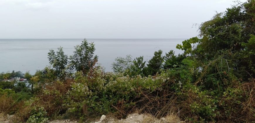 OCEAN VIEW LOT FOR SALE IN CEBU