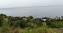 OCEAN VIEW LOT FOR SALE IN CEBU