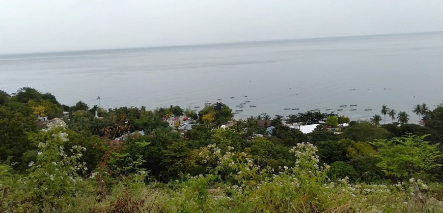 OCEAN VIEW LOT FOR SALE IN CEBU